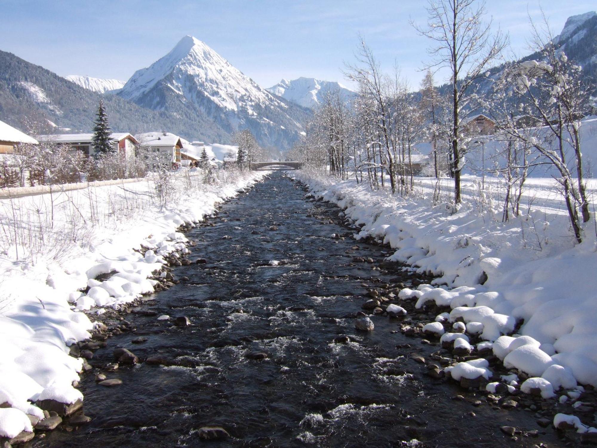 Apartments Susanne Au (Vorarlberg) ภายนอก รูปภาพ